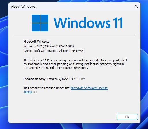 Windows 11 winver